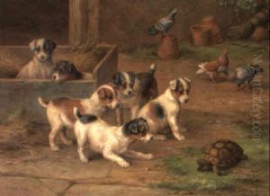 Friend Or Foe? by Edgar Hunt