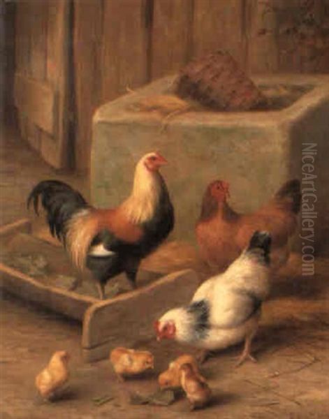 Chickens Feeding - view 1