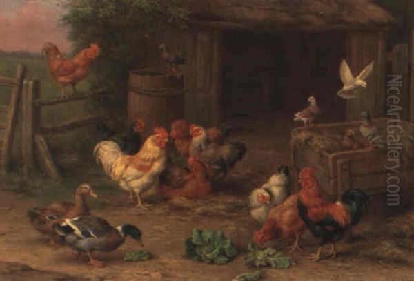 Feathered Friends - view 1