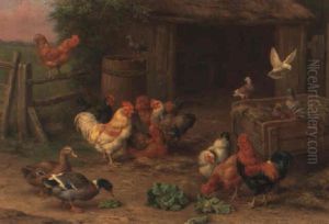 Feathered Friends by Edgar Hunt