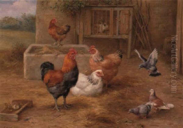 Chickens, Pigeons And A Rabbit In A Farmyard - view 1