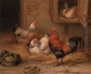 Hens Nesting, A Cockerel And A Rabbit In A Barnyard by Edgar Hunt