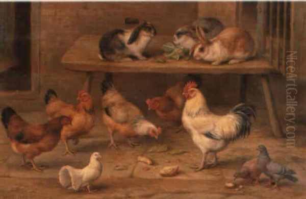 Chickens, Rabbits And Pigeons Feeding - view 1