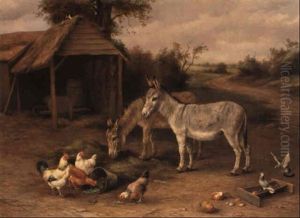 Donkeys And Chickens