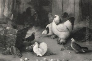 Chickens, Pigeons And Doves In A Barn