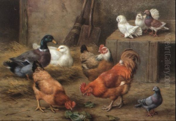 Chickens, Ducks, Doves And A Pigeon - view 1