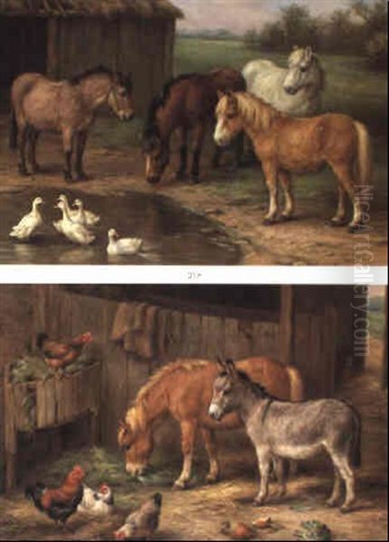 Donkey And A Pony In A Stall - view 1