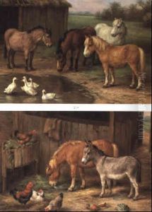 Donkey And A Pony In A Stall