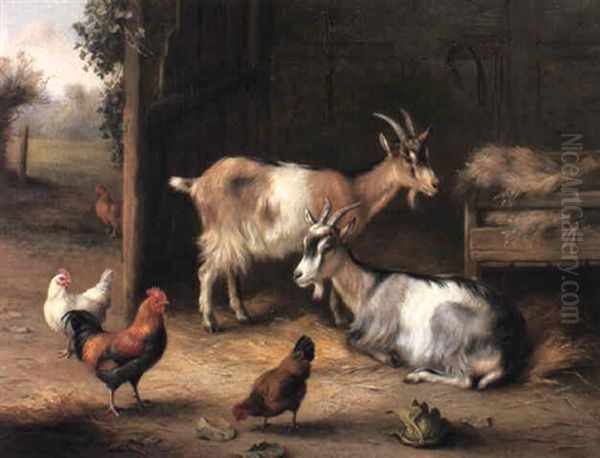 Goats And Chickens In A Barn - view 1
