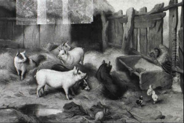 Pigs, Chicks And A Cockerel In A Farmyard - view 1