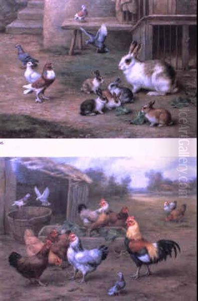 Barnyard Scenes - view 1