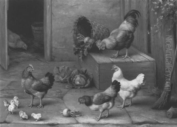 Chickens And Chicks - view 1