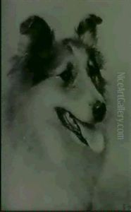 A Head Study Of A Collie by Edgar Hunt
