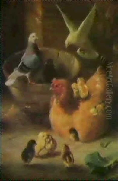 A New Hatch;                                                Feeding Time For The Pigeons - view 1