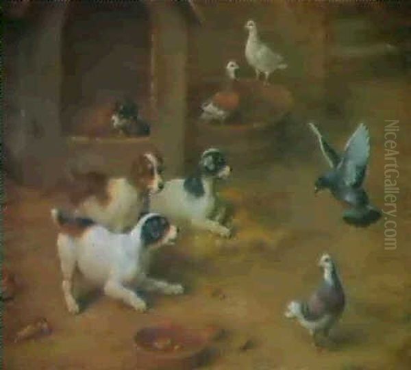 Still Hungry - view 1