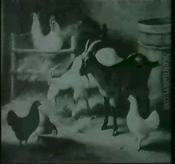 Goats, A Cockerell And Chickens In A Barn - view 1