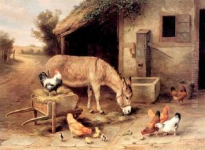 A Donkey And Chickens Outside A Stable