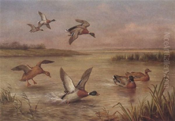 Mallards Landing - view 1