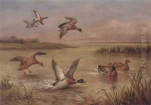 Mallards Landing by Edgar Hunt