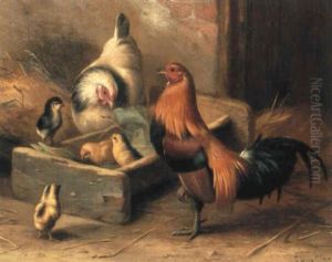 A Rooster And A Hen With Their Chicks