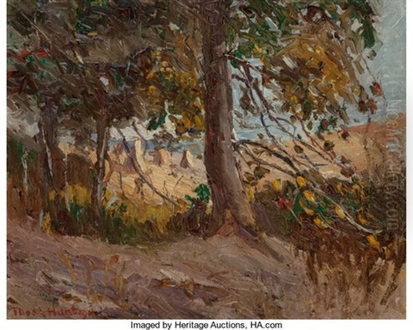 Mid-day Light - view 1