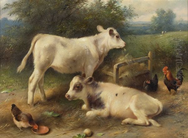 Calves And Chickens - view 1