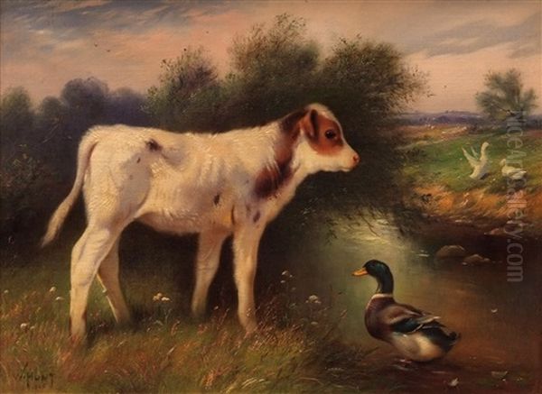 Calf With Duck By A River - view 1
