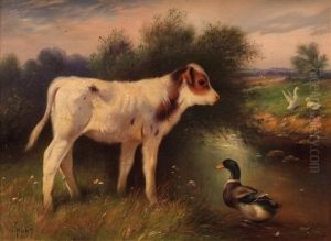 Calf With Duck By A River