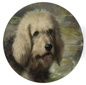 Swimmer, Portrait Of An Otterhound