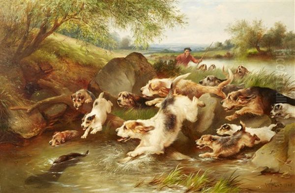 Otter Hunt, Taking Cover - view 1