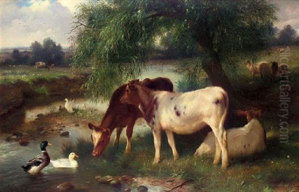 Calves And Mallards At A Stream - view 1