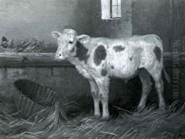 Calf In A Barn - view 1