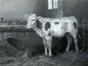 Calf In A Barn by Walter Hunt
