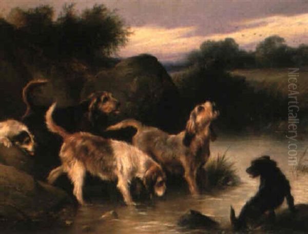Otterhounds And Terriers - view 1