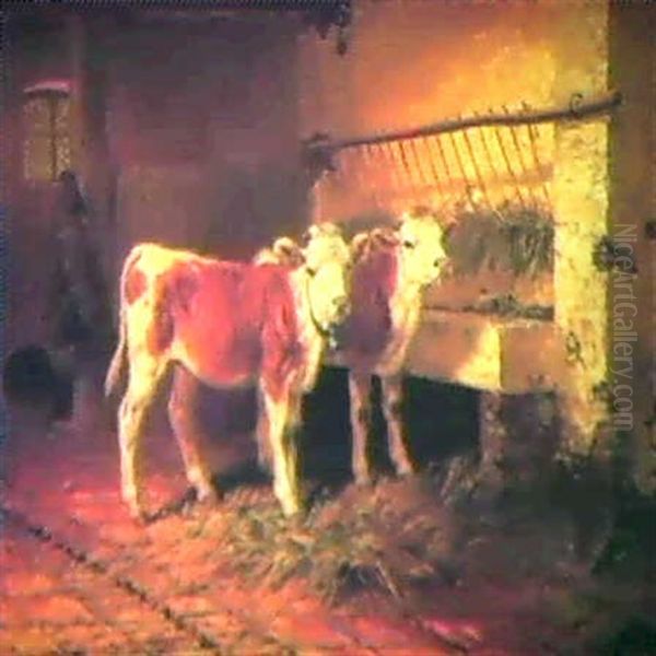 Two Calves In A Barn - view 1