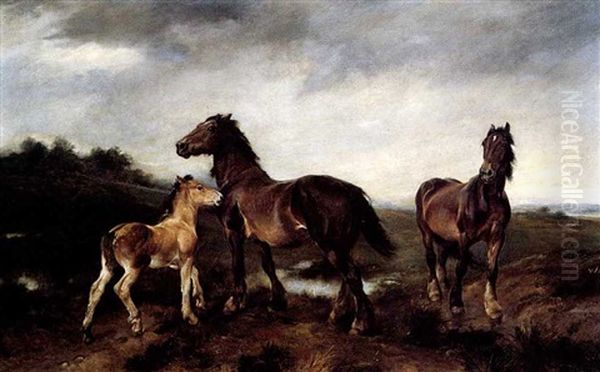 Horses In A Pasture - view 1