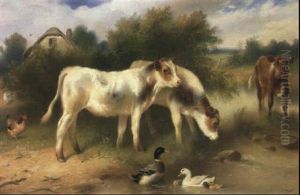 Calves By A Pond