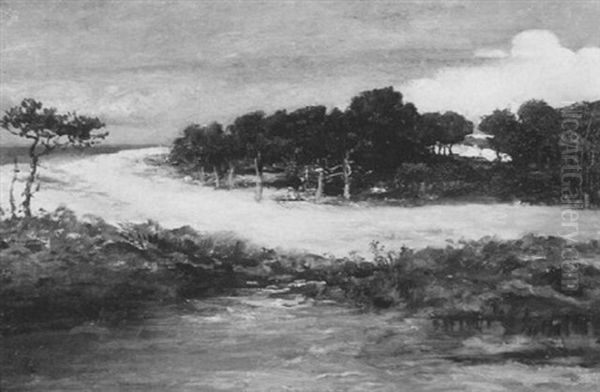 Rams Head Woods, Naushon - view 1