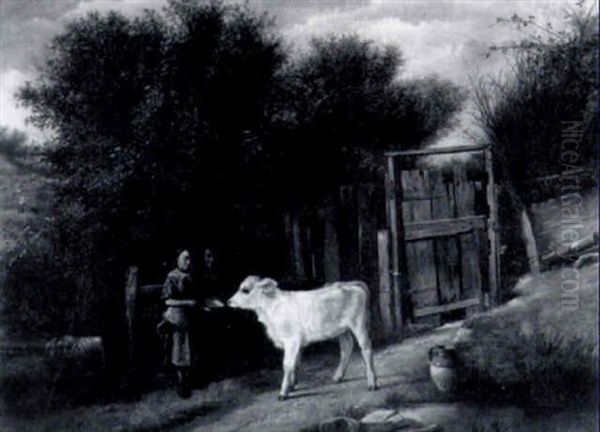 The Pet Calf - view 1