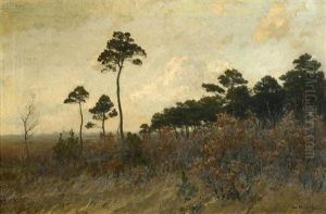 Auf Dem Dars by Max Hunten