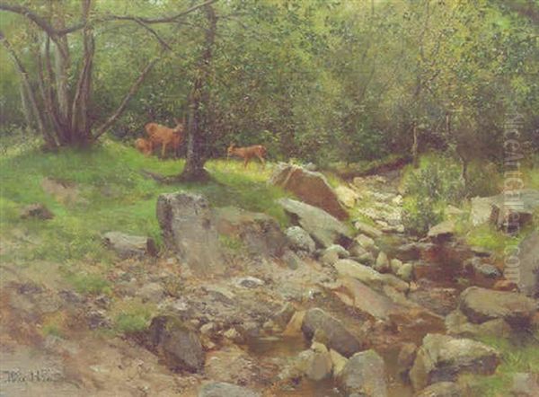 Deer By A Stream In A Forest - view 1