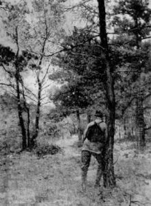 Jager Auf Der Pirsch by Max Hunten