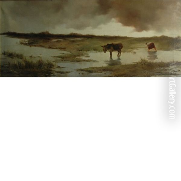 Donkey In A Marsh Landscape - view 1