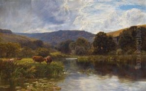 An Wasserstelle Weidende Kuhherde In Sommerlicher Landschaft