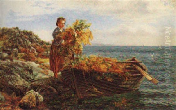The Fern Gatherer - view 1