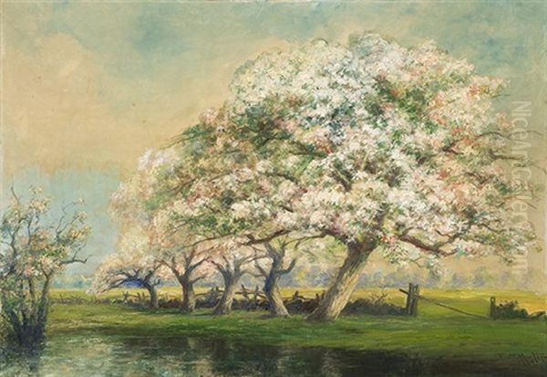 Landscape With Blossoming Apple Trees Along A Fence - view 1