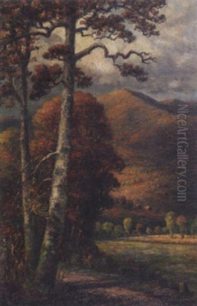 In The Valley - view 1
