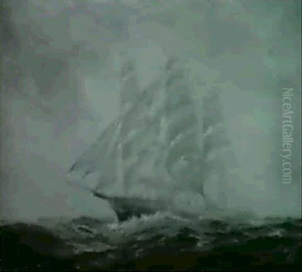 The Glories Of The Seas - view 1