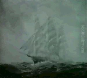 The Glories Of The Seas The Glories Of The Seas