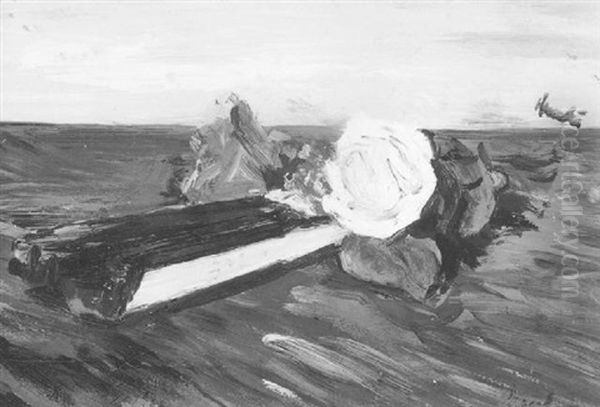Fan And Roses - view 1